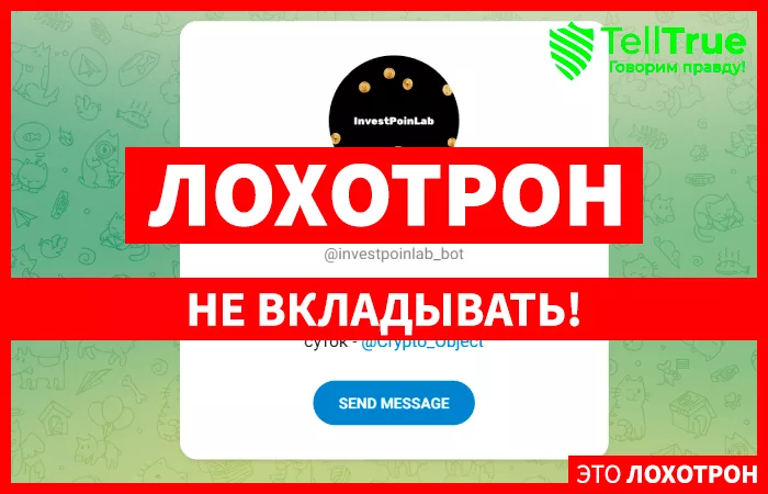 InvestPoinLab bot