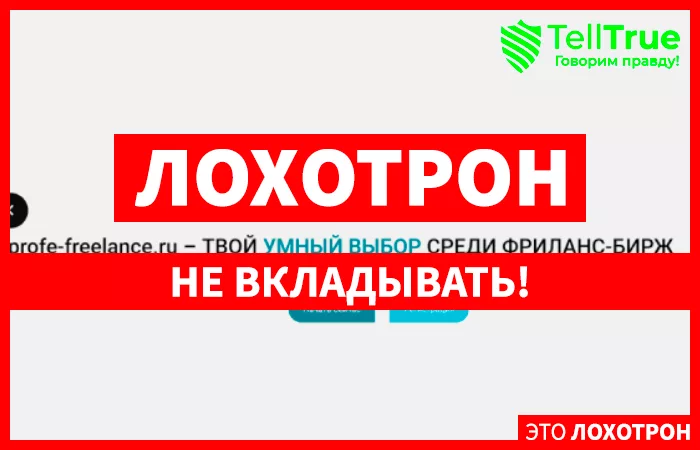 profe-freelance.ru