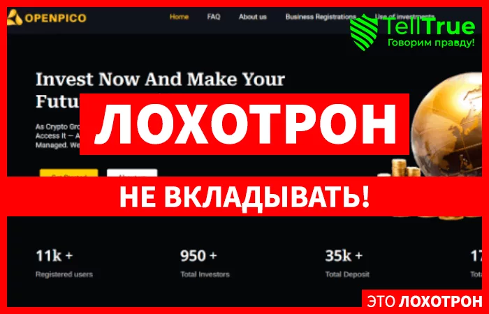 Openpico