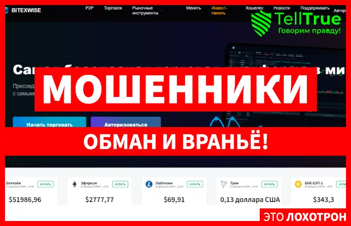 BitexWise