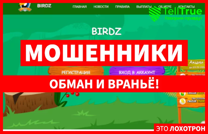 Birds Money