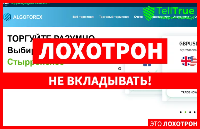 Algoforex
