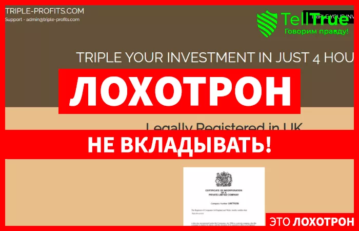 Triple-Profits