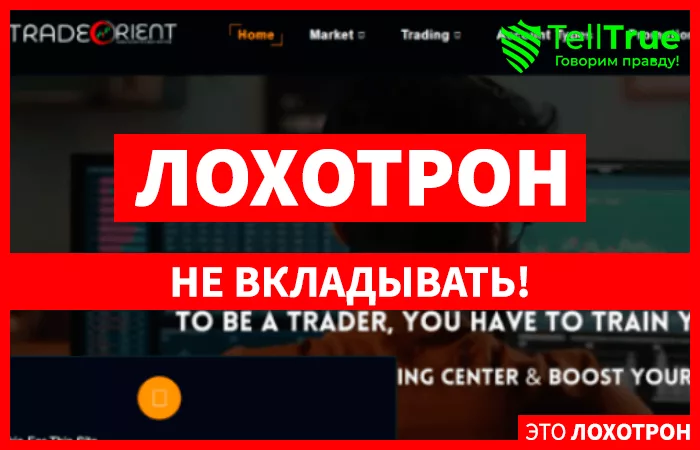 Trade Orient
