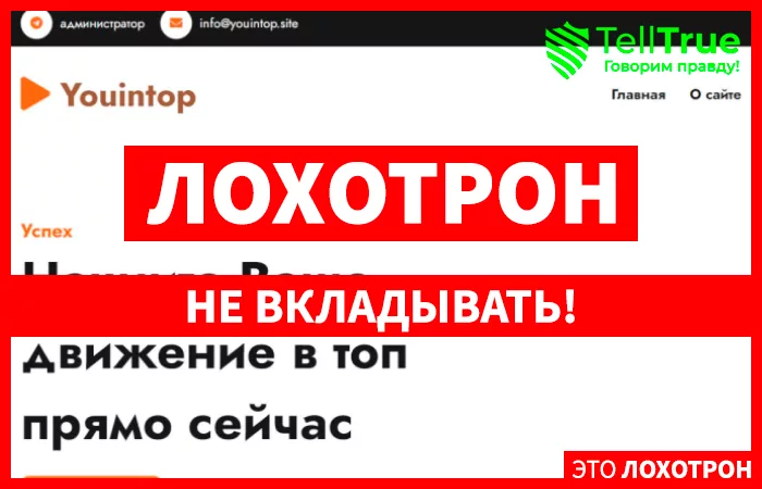 YouInTop