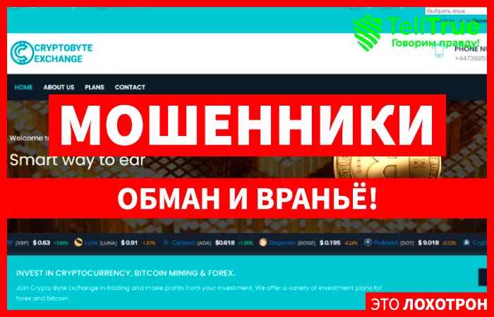 Crypto Byte Exchange