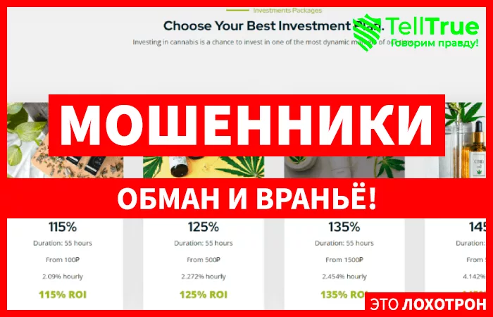 Cbd Invest