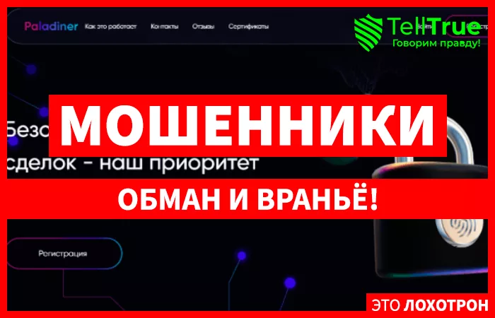 paladiner.com