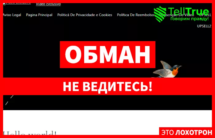 ysavideo.xyz