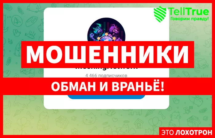 MeshingNetwork