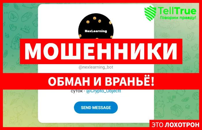 NexLearning Bot