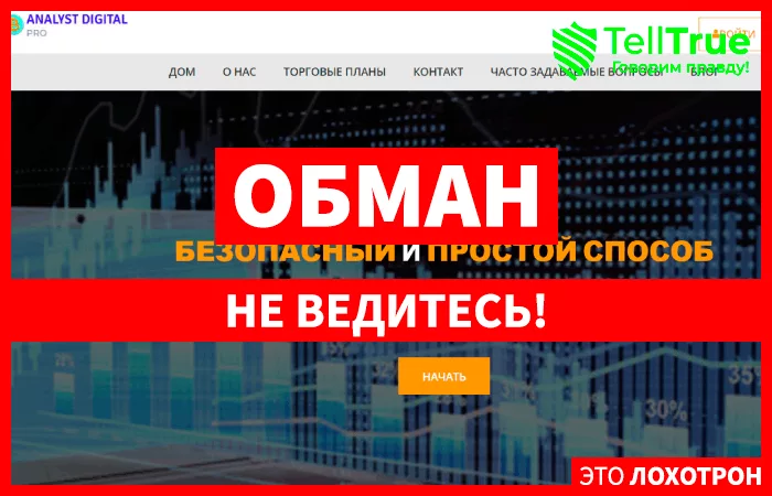 Analyst Digital Pros Inc