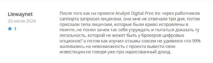 Analyst Digital Pros Inc отзывы