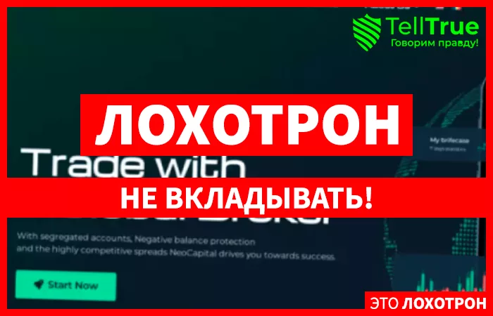 Neocapital (neocapital.cc)
