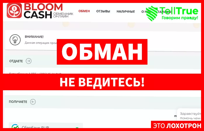 Bloom.cash
