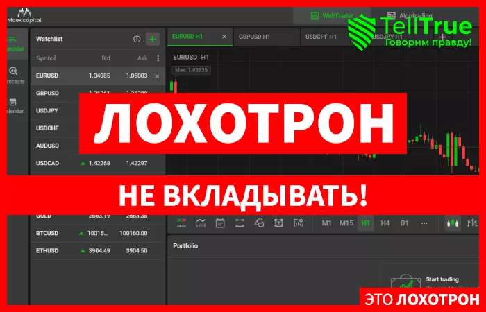 Moex Capital