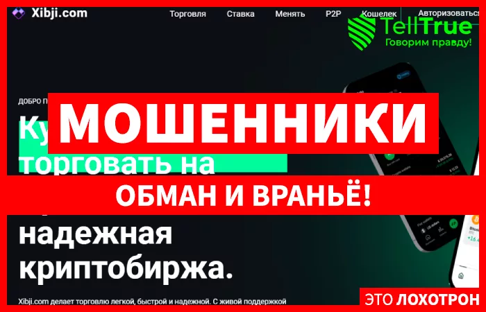 Xibji.com