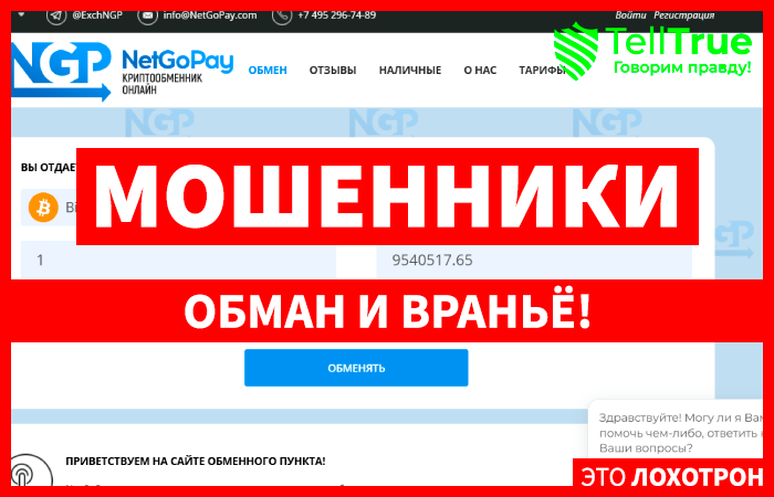 NetGoPay.com