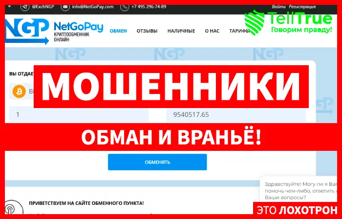 NetGoPay.com