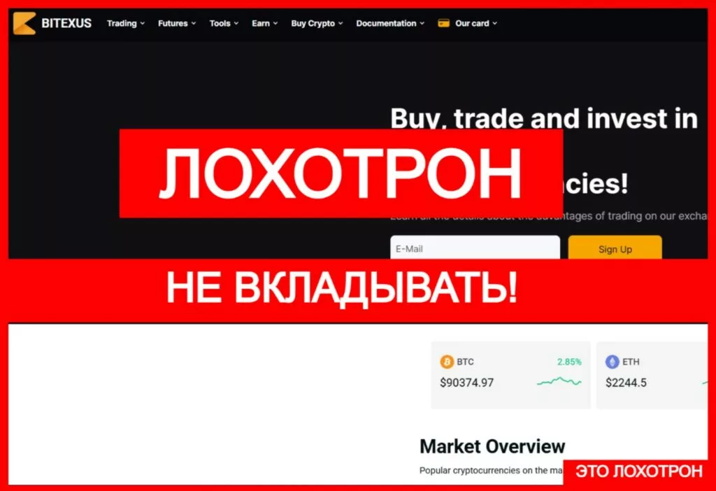 BITEXUS (bitexus.com) — фейковая биржа мошенников