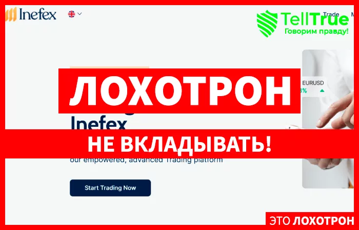 INEFEX.ORG