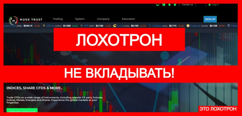 Musk Trust (musktrust.live) — лжеброкер! Отзыв TellTrue