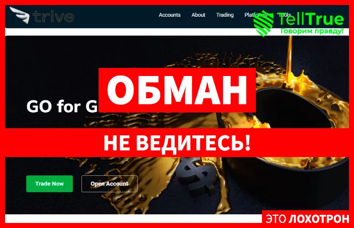 Trivevip