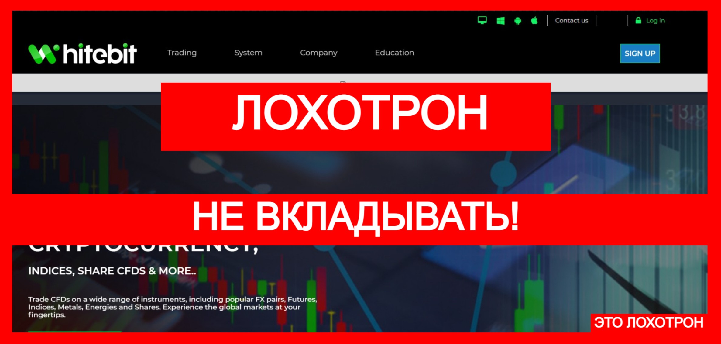 Whitebittrades (whitebittrades.com) лжеброкер! Отзыв Telltrue