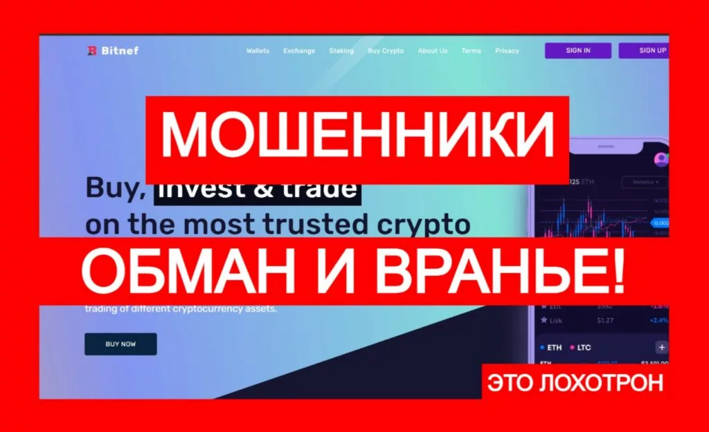 Bitnef (bitnef.com) — очередная клонированная лжебиржа от аферистов!