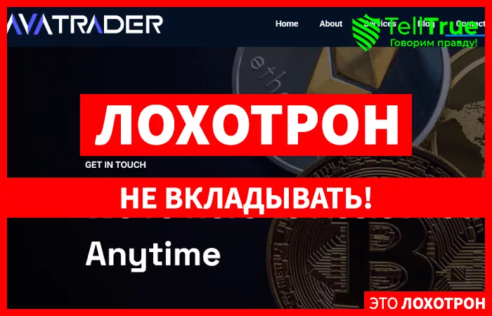AVACAPTAL.COM