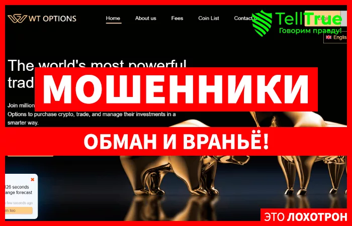 WTOPTION.COM