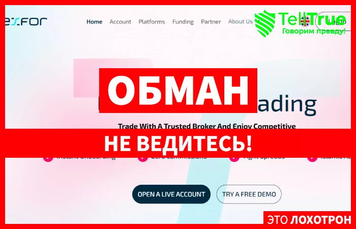 EXFOR.COM
