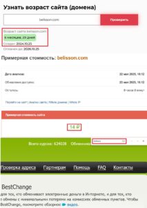 Лжеобменник BELISSON (belisson.com) - ловкий обман с криптоарбитражем