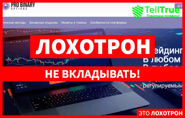 Pro Binary Options