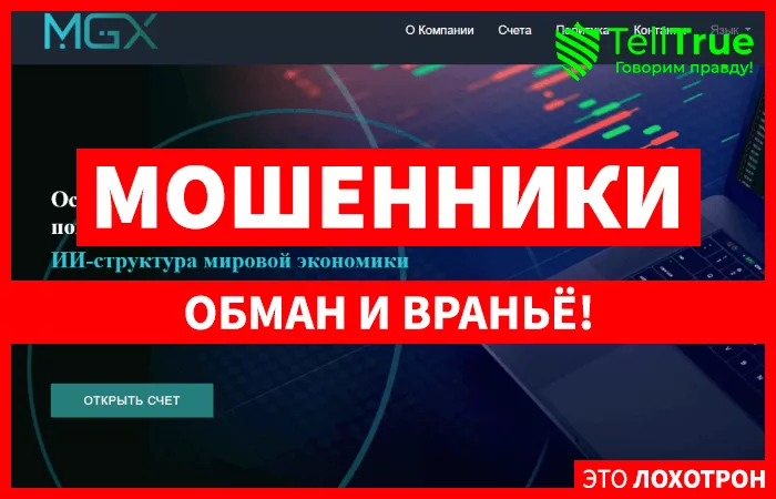 MGX foundation