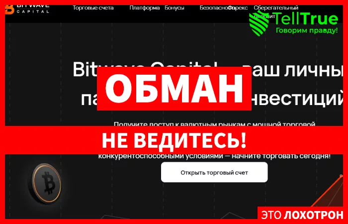 Bitwave Capital