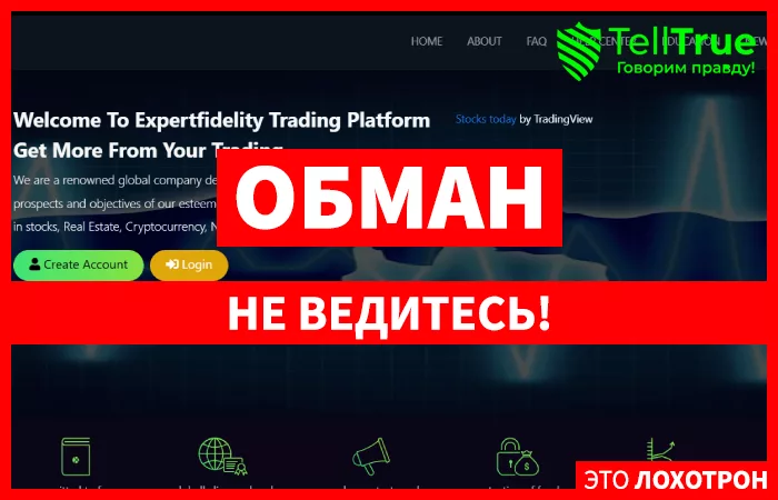 Expertfidelity