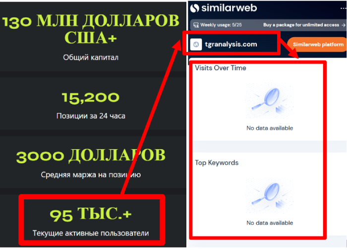 TGRanalysis статистика