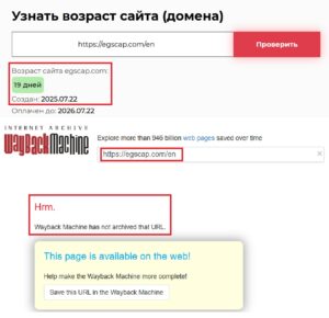 Лжеброкер EGS Capital (egscap.com). Отзывы и возврат денег