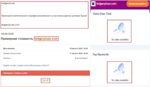 Лжеброкер LedgerPluse (ledgerpluse.com). Отзывы и возврат денег