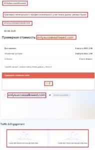 Лжеброкер OnlySuccessAllowed (onlysuccessallowed.com). Отзывы и возврат денег