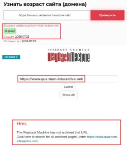 Лжеброкер Quantum Interactive (quantum-interactive.net). Отзывы и возврат денег