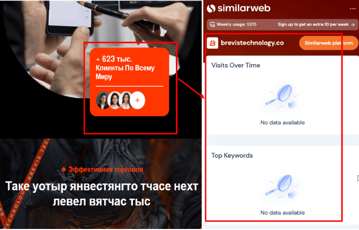 Brevis Technology статистика