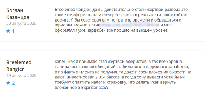 Bigarizonaco отзывы