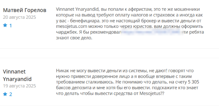 Mesojetus отзывы