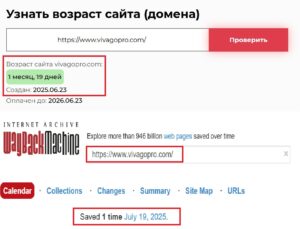Лжеброкер Vivagopro (vivagopro.com). Отзывы и возврат денег