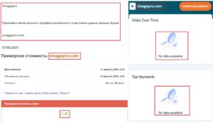 Лжеброкер Vivagopro (vivagopro.com). Отзывы и возврат денег