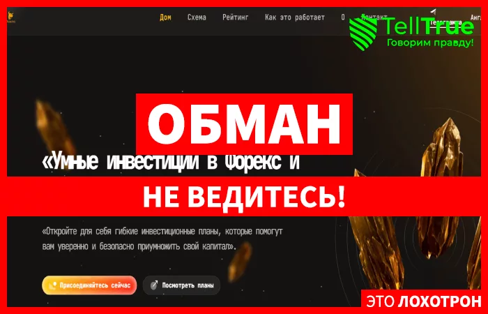 Veexino