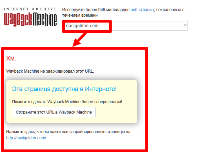 Nasi Golden веб архив