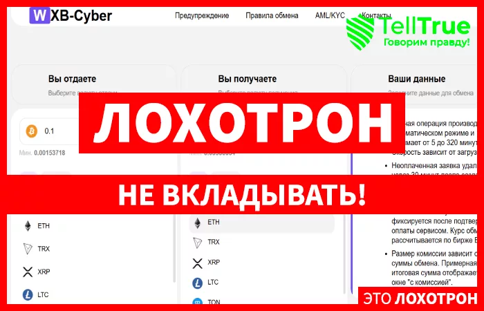 WXB-Cyber